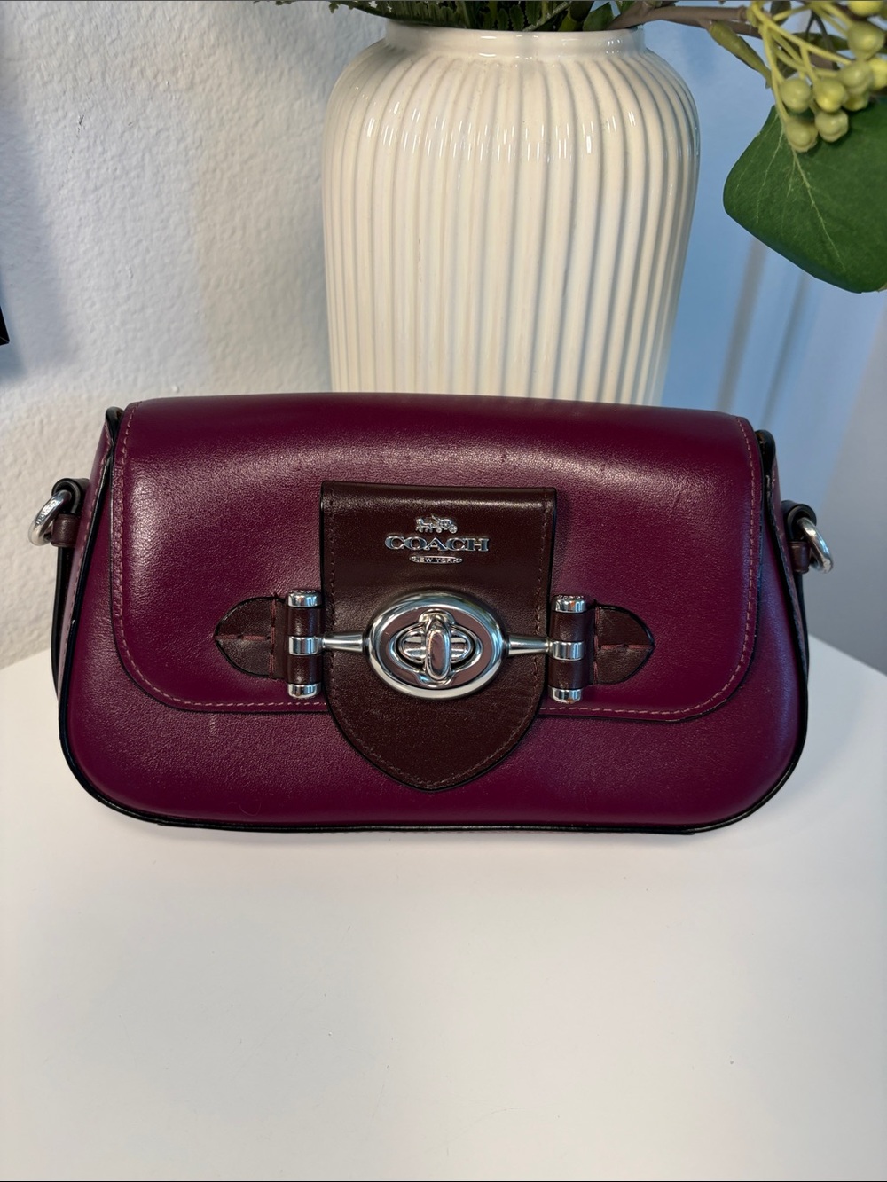 Coach Brie Leather Crossbody Bag - Picture 5 of 14